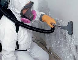 Wake Village, TX Mold Removal Services Company